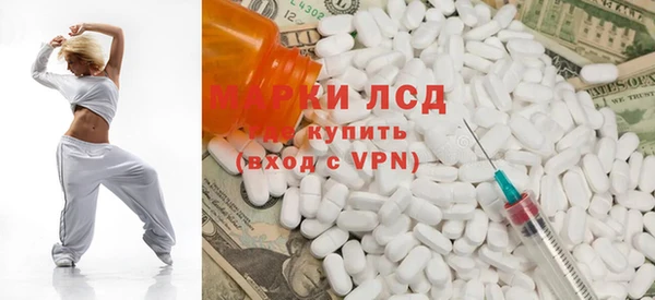 прущие грибы Тобольск