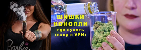 прущие грибы Тобольск
