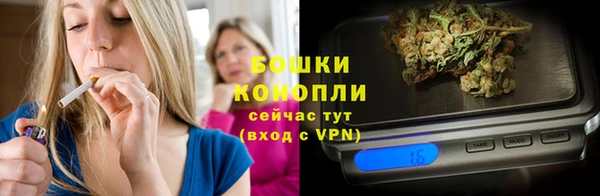 гашик Тутаев
