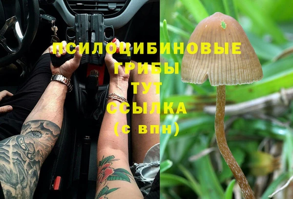мдпв Бабаево