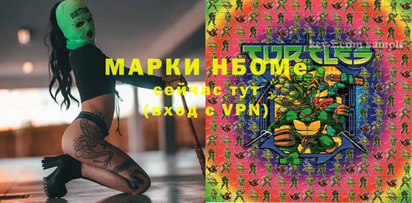 прущие грибы Тобольск