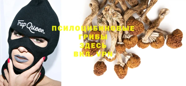 каннабис Сураж