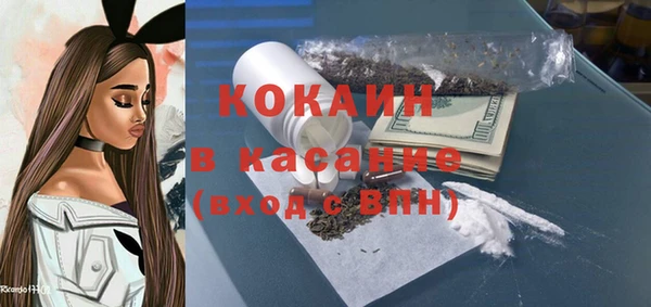 прущие грибы Тобольск