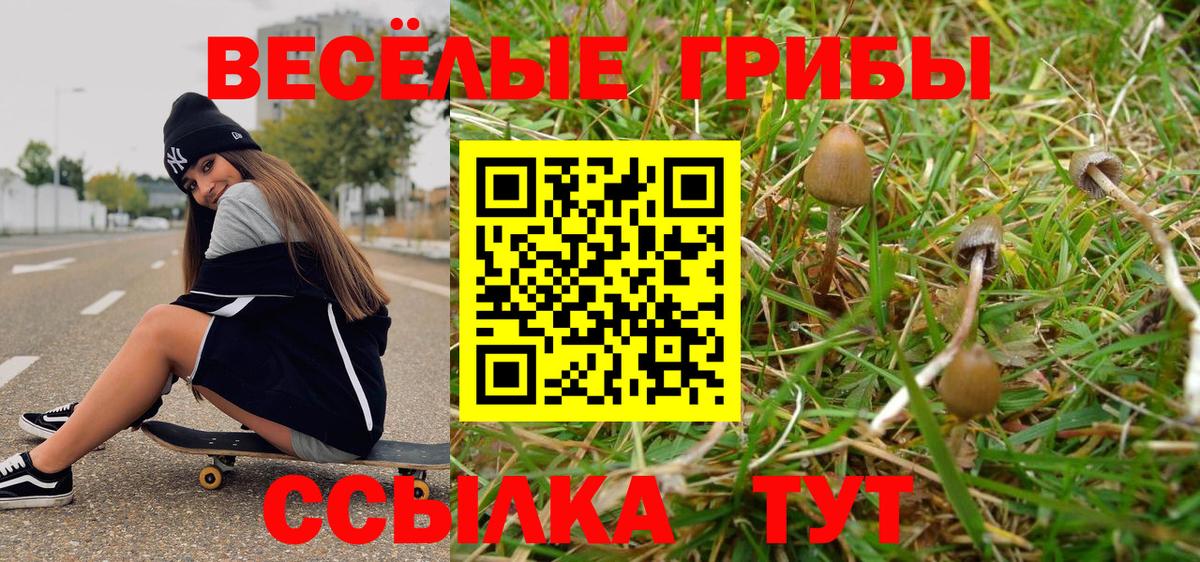 Йошкар-Ола  Галлюциногенные грибы Magic Shrooms  Вход с VPN 
